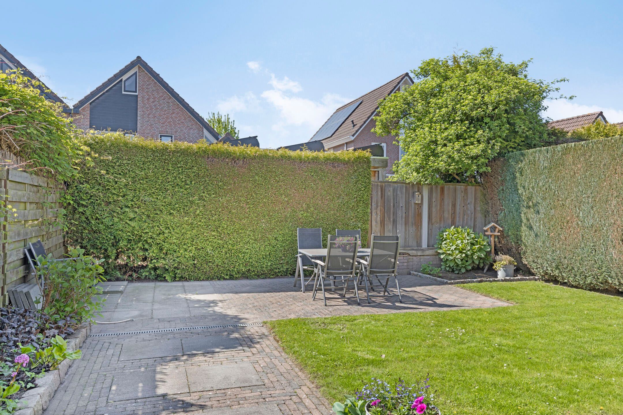 Foto 6 van Denneappel 4