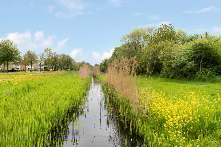 Foto 53 van Rosendael 10