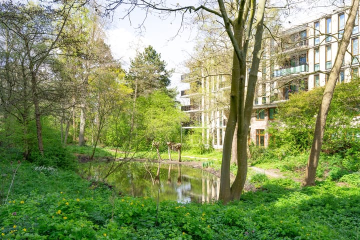 Foto 13 van Dollardpad 1