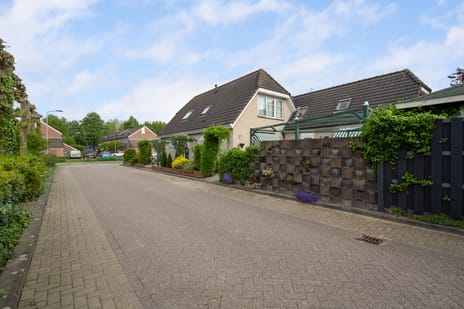 Korenmaaier 5 tertiary image