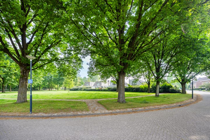 Foto 5 van Maasland 85