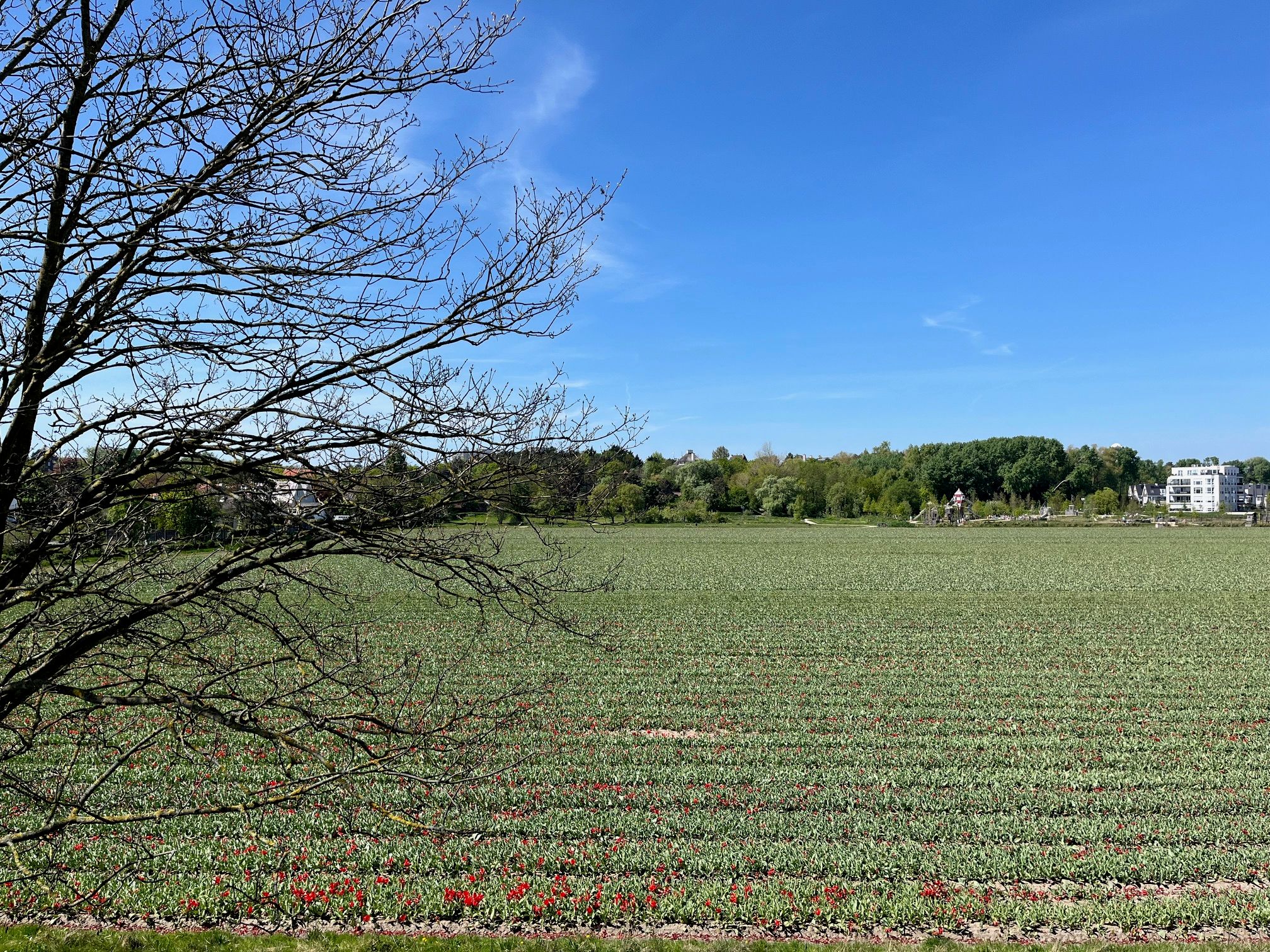 Foto 3 van An van Gilsehof 53