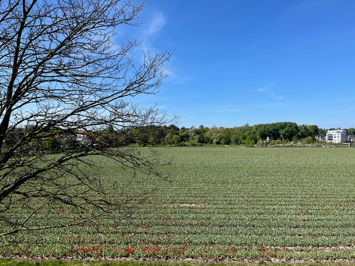 Foto 3 van An van Gilsehof 53