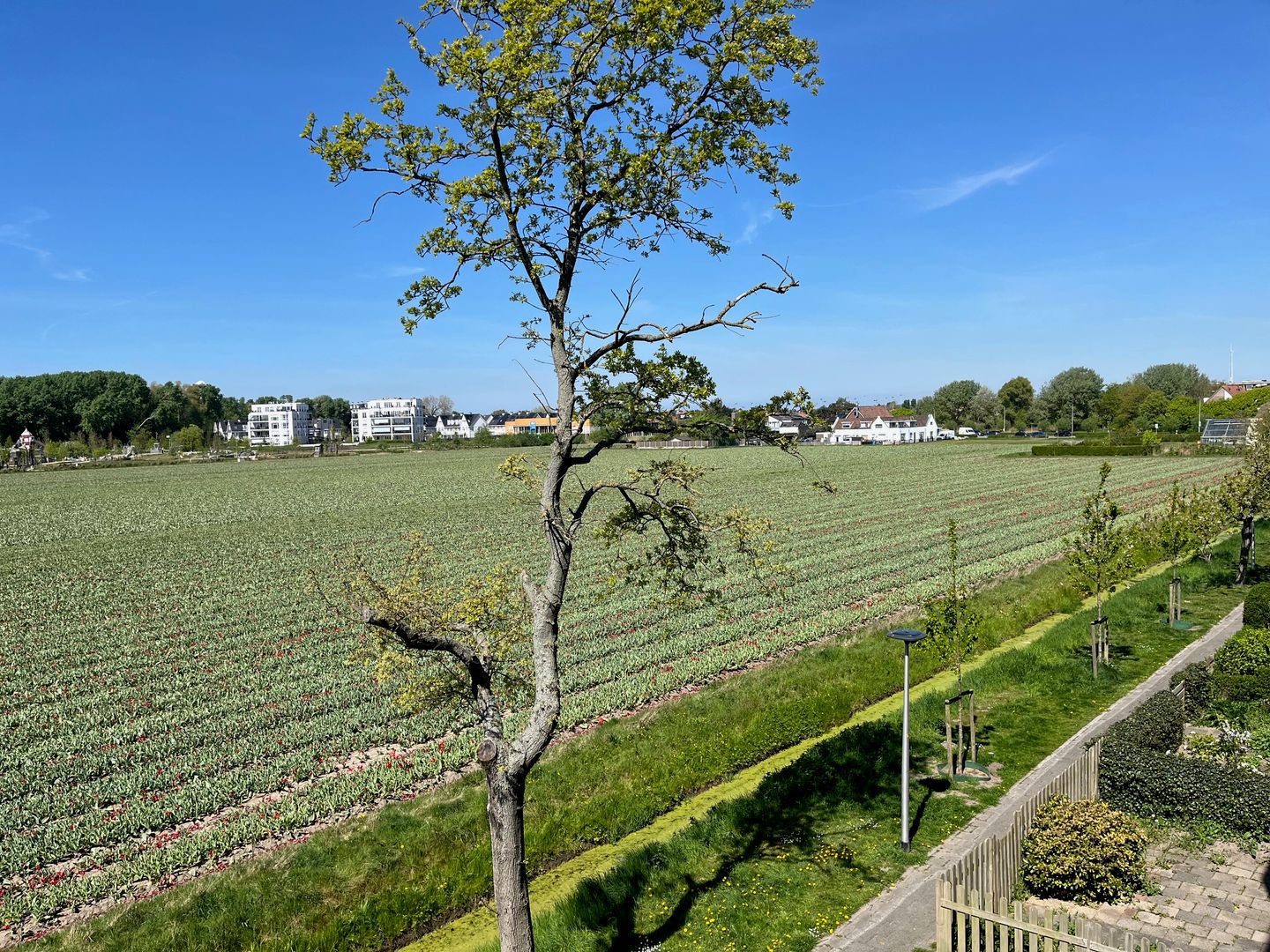 Foto 14 van An van Gilsehof 53