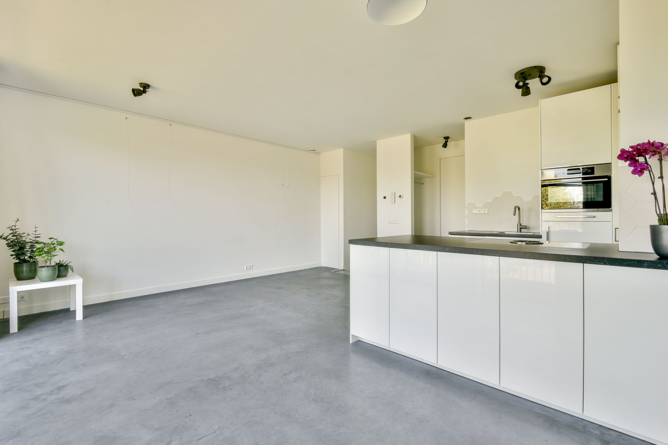 Photo 9 of Koopvaardersplantsoen 49-A