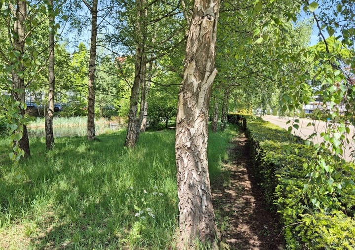 Foto 40 van De Regenboogstraat 21