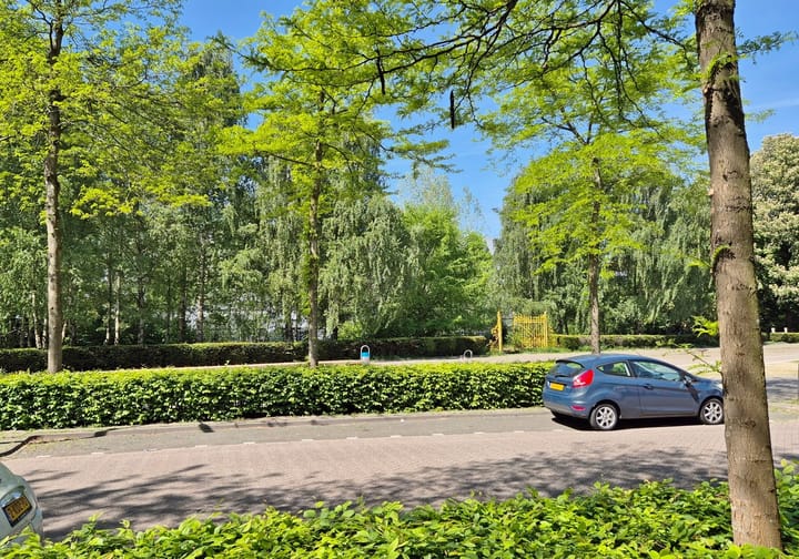 Foto 39 van De Regenboogstraat 21