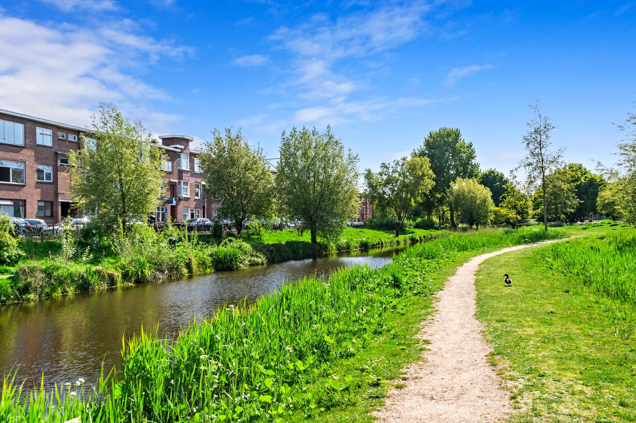 Foto 33 van Lyonnetstraat 21