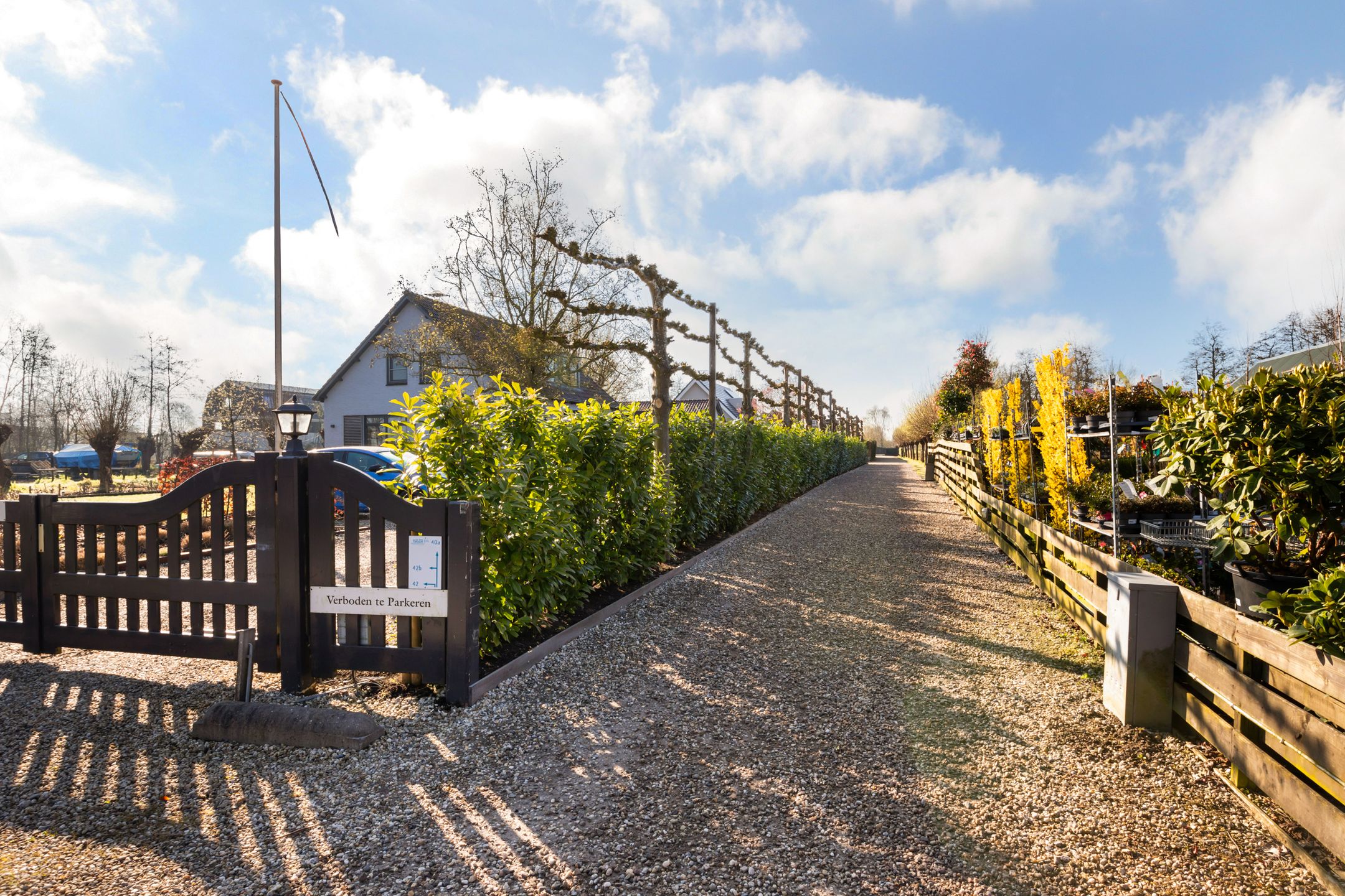 Foto 6 van Platteweg 40