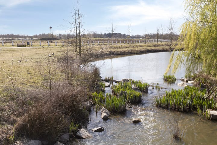 Foto 30 van Meerzand 52