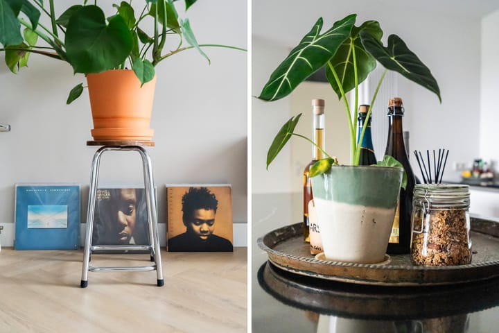 Photo 10 of Sint-Jobskade 100