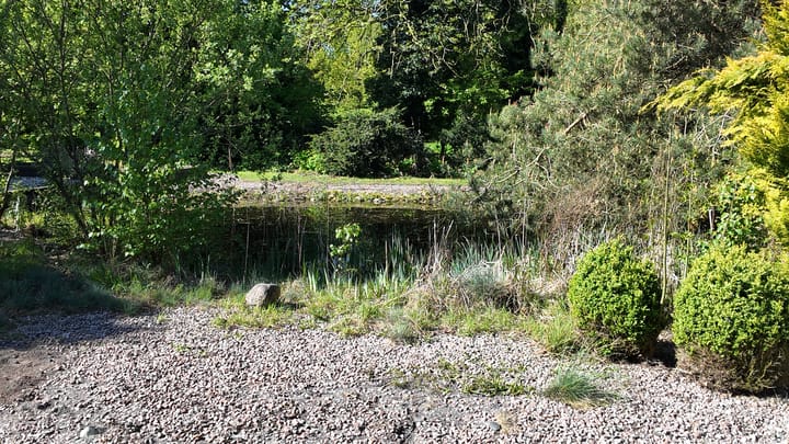 Foto 36 van Kallenkote 17