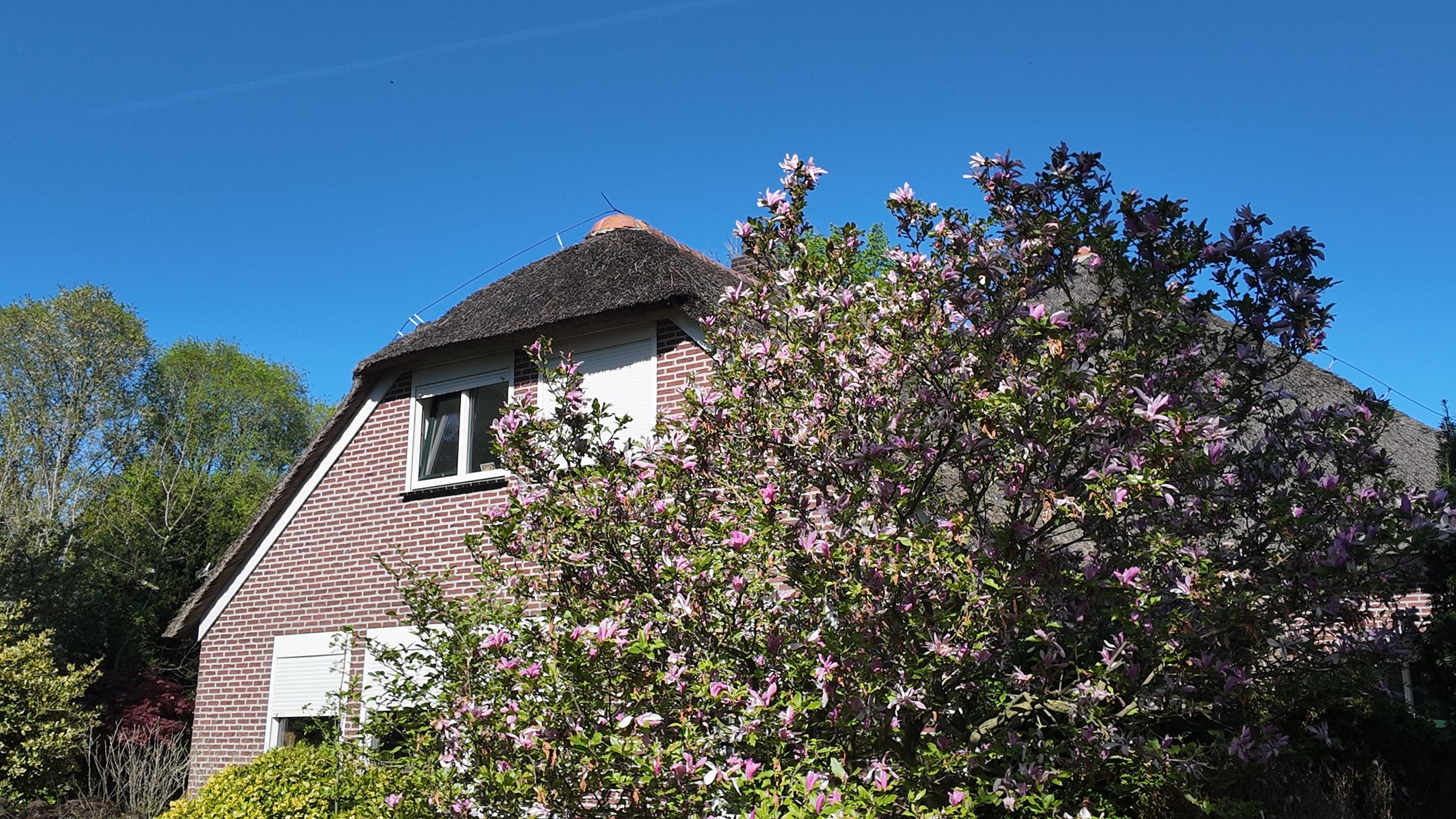 Foto 45 van Kallenkote 17