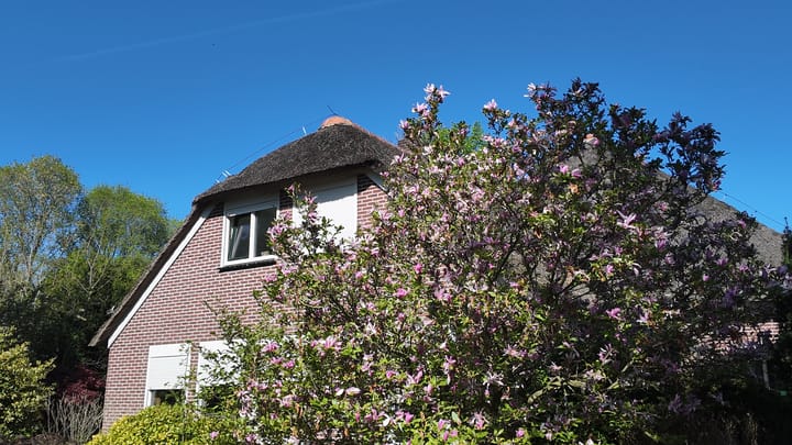 Foto 45 van Kallenkote 17