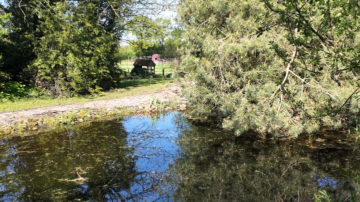 Foto 48 van Kallenkote 17