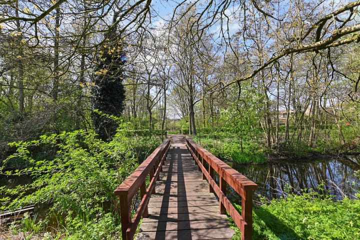 Foto 40 van Dr. L.J. Rogierstraat 68