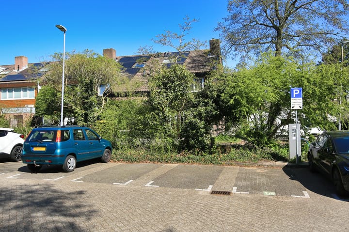 Foto 51 van Baronie 1