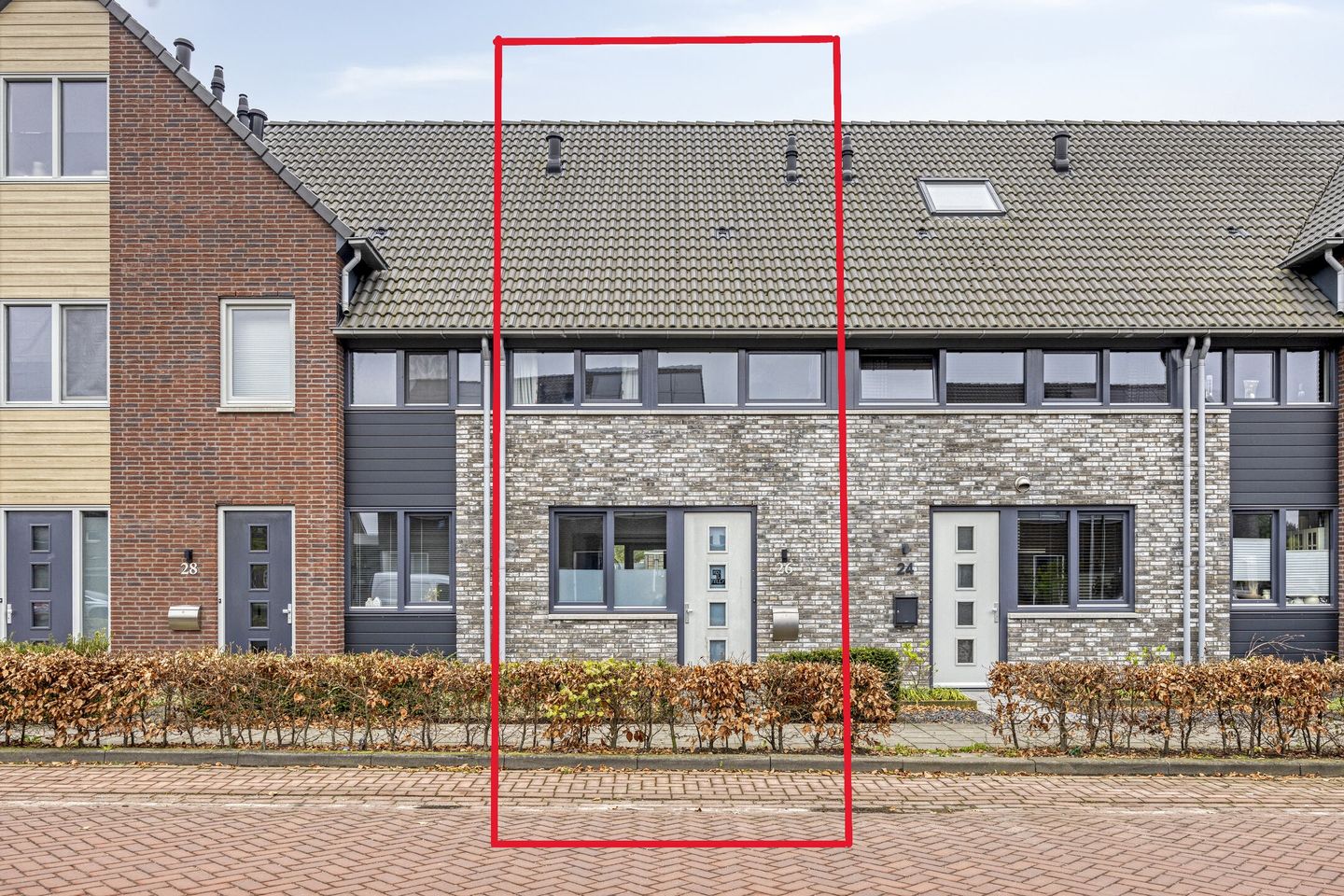 Foto 1 van Pinksterbloem 26