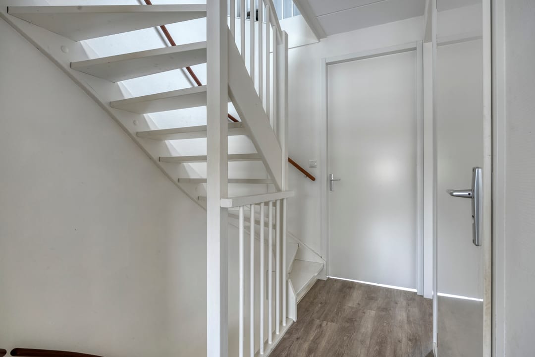 Foto 11 van Pinksterbloem 26