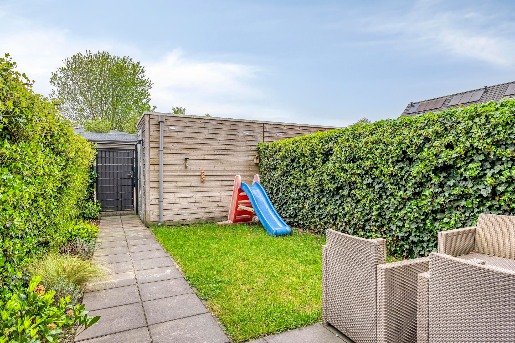 Foto 18 van Pinksterbloem 26