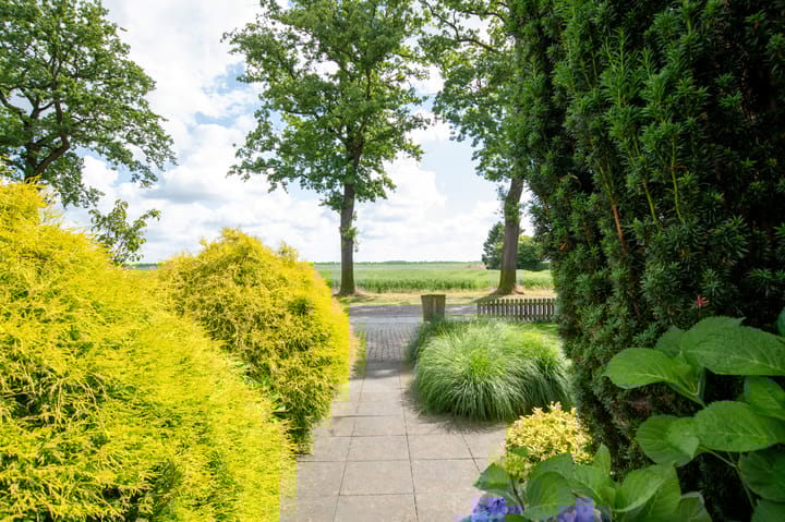 Foto 4 van Kerkweg 131