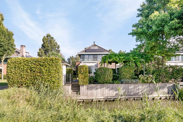 Foto 1 van Koekoeksbloem 6