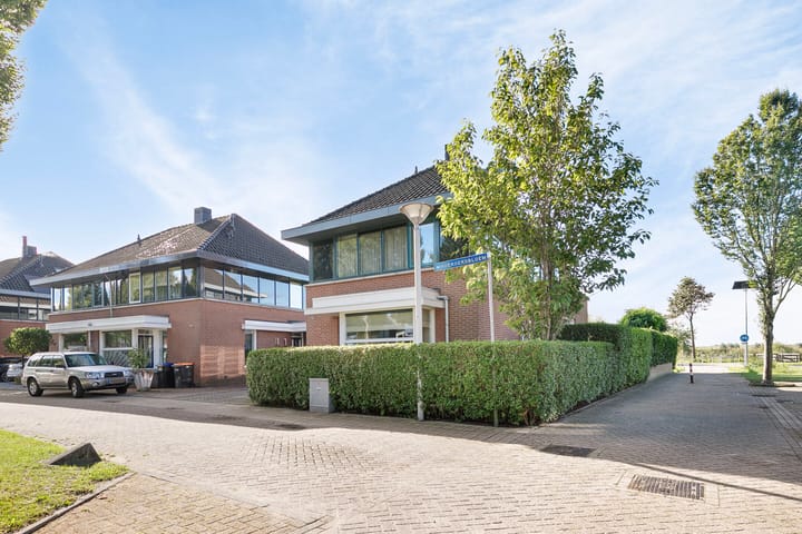 Foto 3 van Koekoeksbloem 6