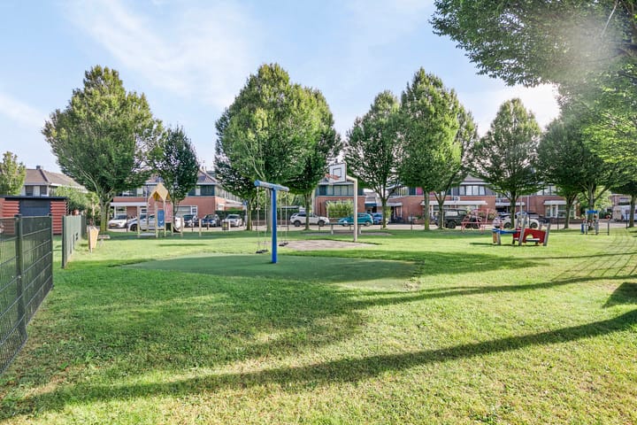 Foto 4 van Koekoeksbloem 6