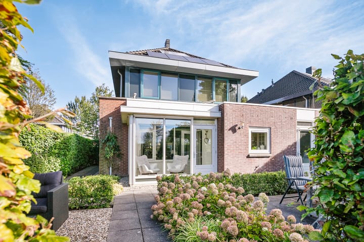 Foto 6 van Koekoeksbloem 6