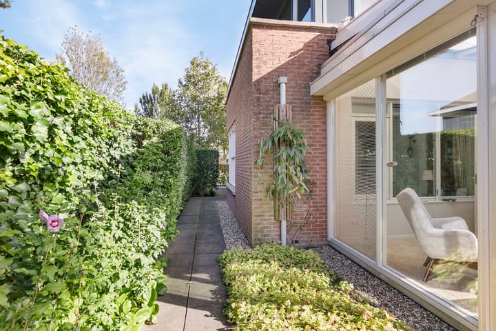 Foto 7 van Koekoeksbloem 6