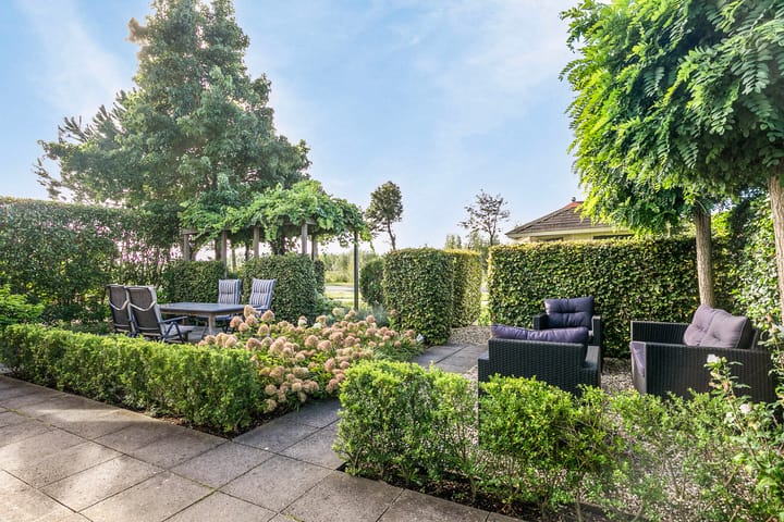 Foto 8 van Koekoeksbloem 6