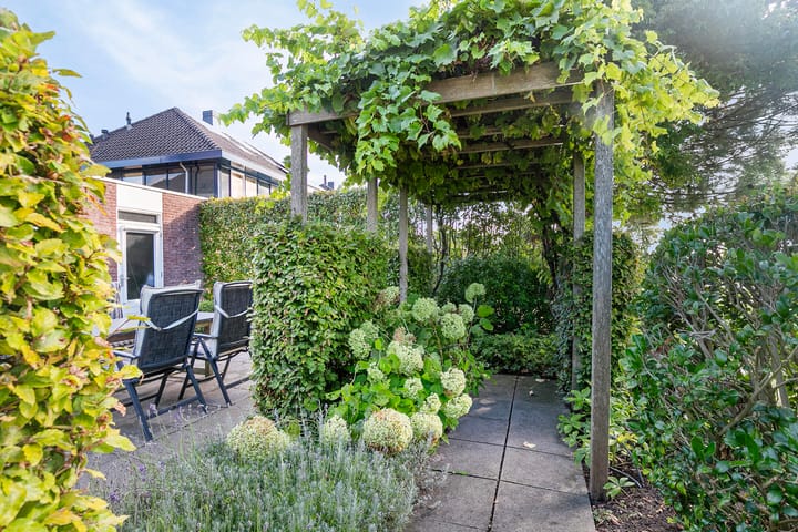 Foto 12 van Koekoeksbloem 6