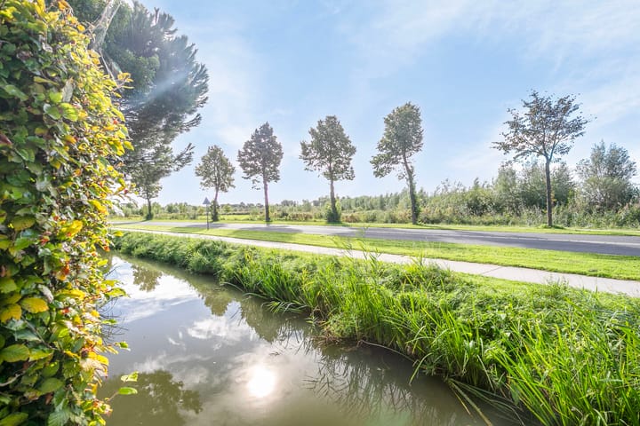 Foto 14 van Koekoeksbloem 6