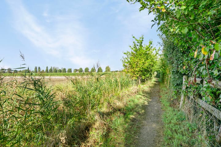 Foto 15 van Koekoeksbloem 6