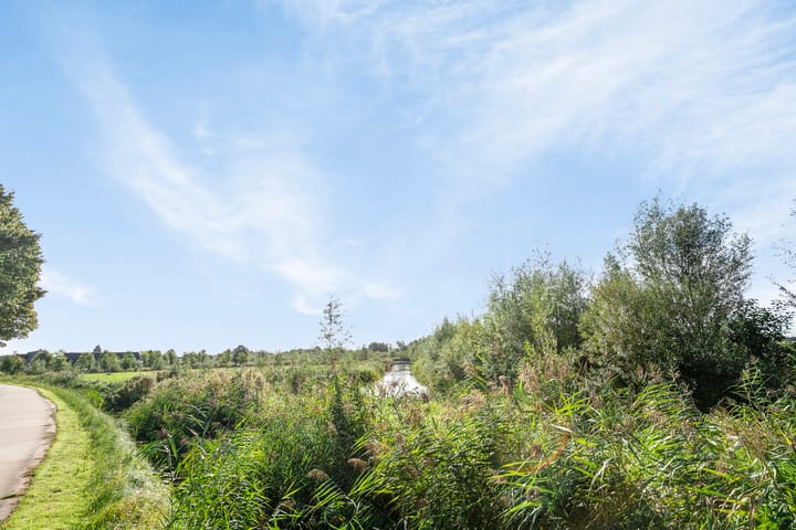 Foto 16 van Koekoeksbloem 6