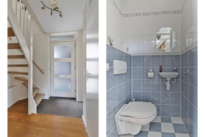 Foto 25 van Koekoeksbloem 6