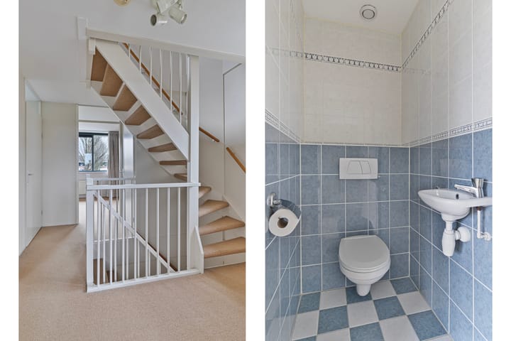 Foto 29 van Koekoeksbloem 6