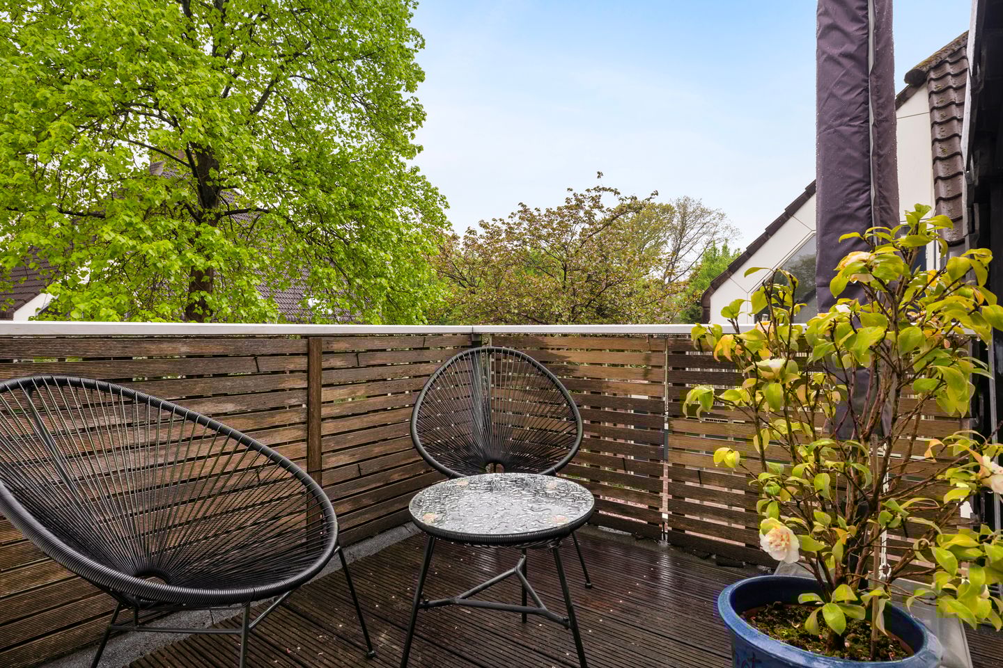 Photo 14 of Scheltemalaan 48