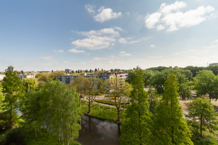 Foto 14 van Coornhertstraat 95