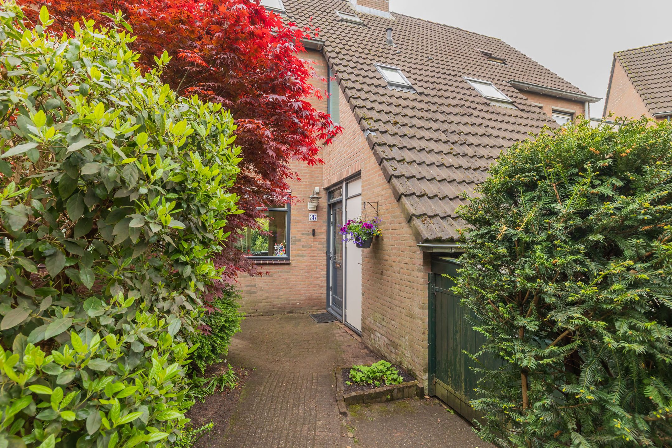 Foto 6 van Beatrixplantsoen 36