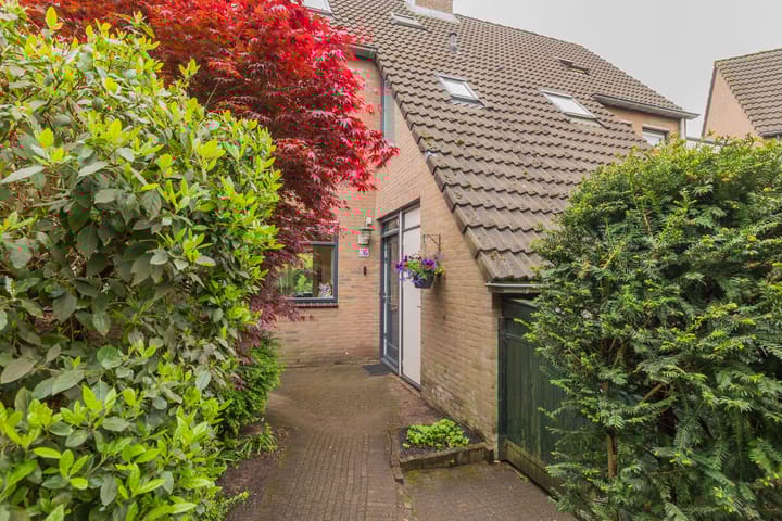 Photo 6 of Beatrixplantsoen 36