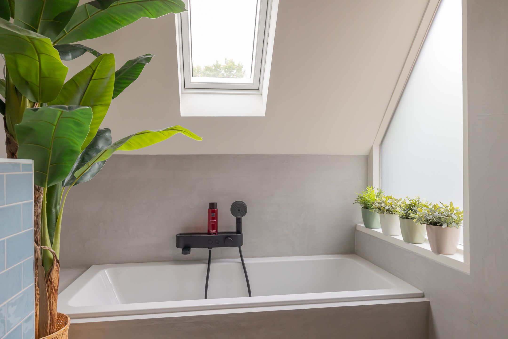 Foto 18 van Beatrixplantsoen 36