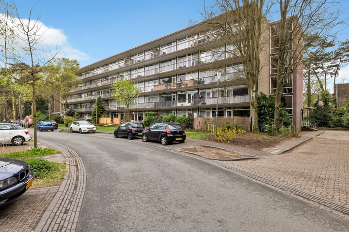 Foto 3 van Graaf Adolflaan 41-3