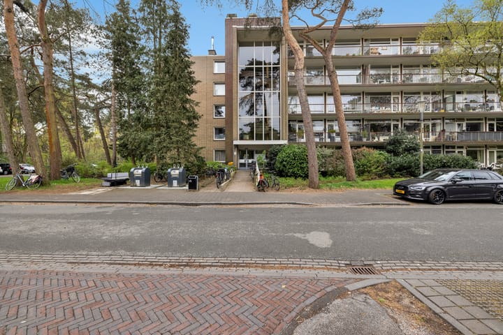 Foto 4 van Graaf Adolflaan 41-3