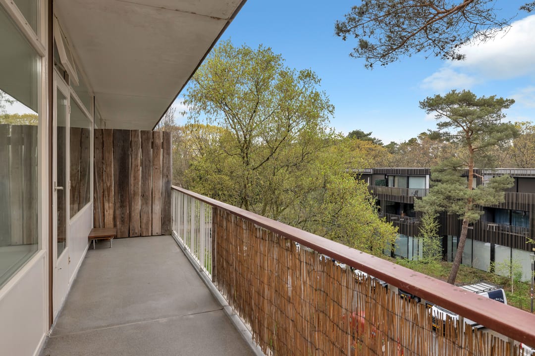 Photo 41 of Graaf Adolflaan 41-3