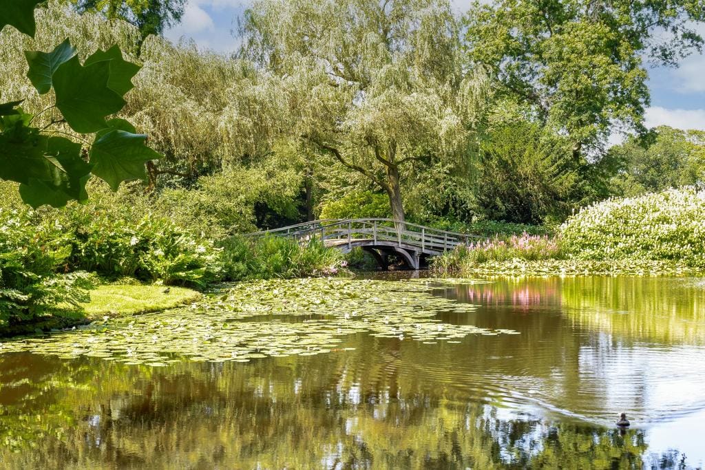 Foto 58 van Wibautlaan 7