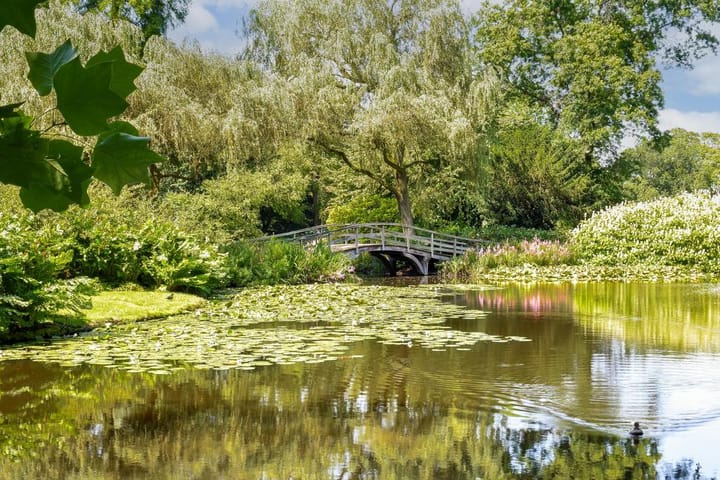 Foto 58 van Wibautlaan 7