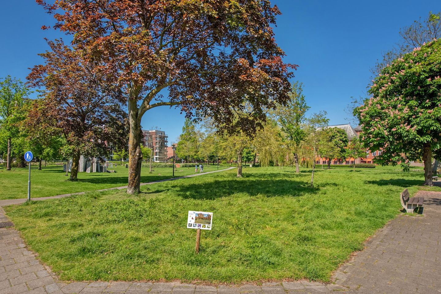 Foto 50 van Koningin Wilhelminalaan 26