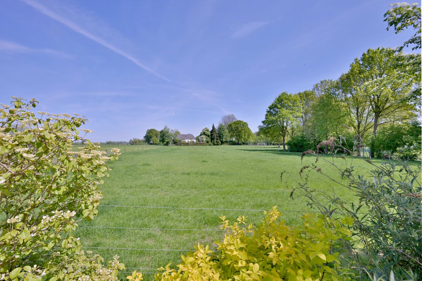 Foto 5 van Binnenweg 43