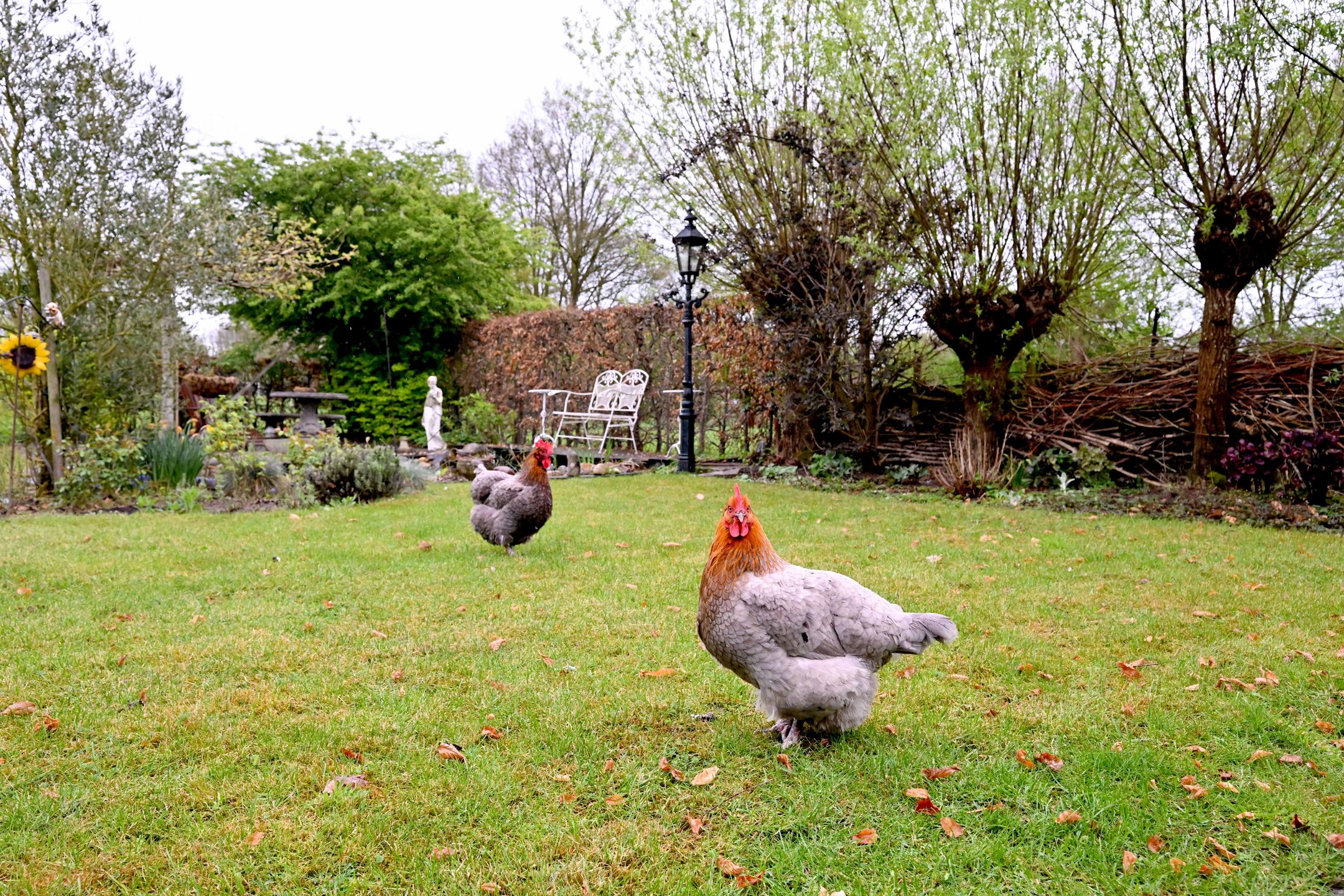 Foto 36 van Binnenweg 43